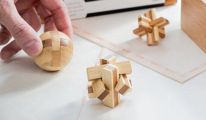 IQ Brain Teaser Kong Ming Lock Lu Ban Lock 3D Puzzle Kids Toys Baby Game Puzzle Toys Interlocking Educational Toys For Children