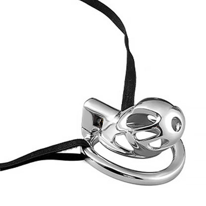 Stainless Steel Chastity Cage for Men, with Adjustable Rings (S/M/L) & Anti-Escape Belt, BDSM Adult Toy, Male Chastity Belt